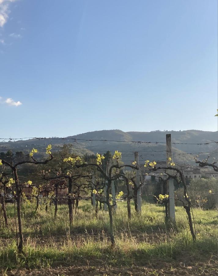 Un Posto Bed & Breakfast Bevagna Luaran gambar